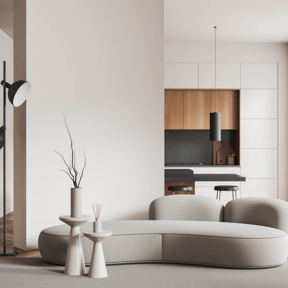 White living room and kitchen interior